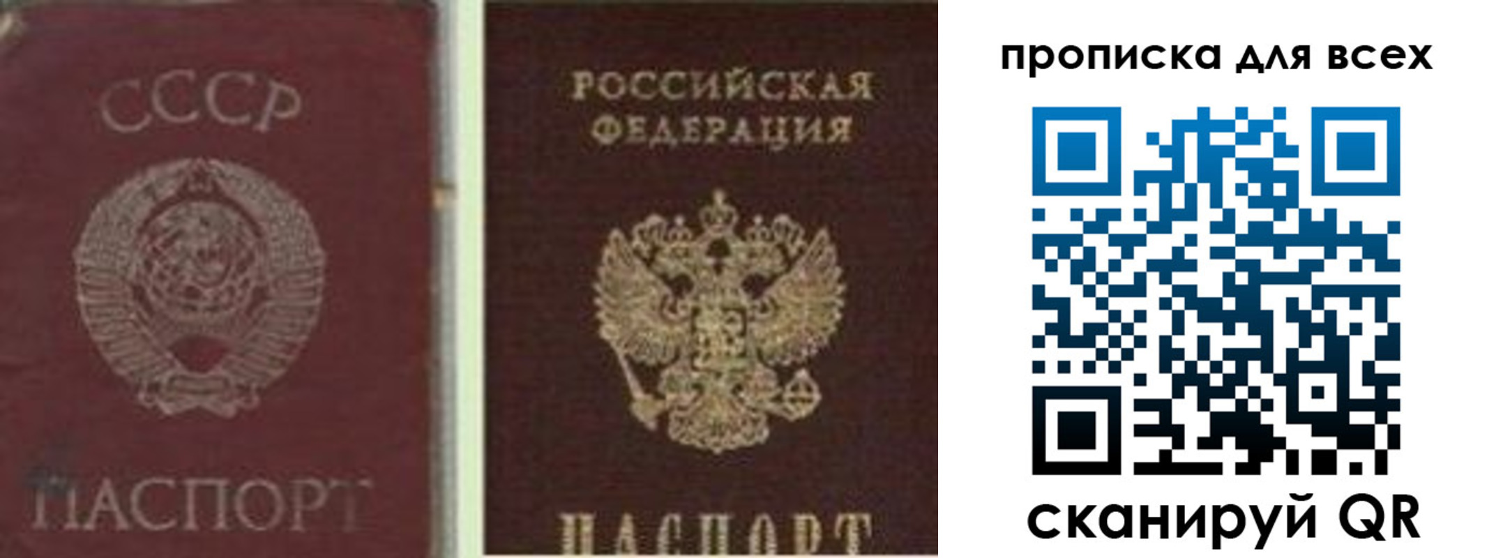 временная прописка в Елизово